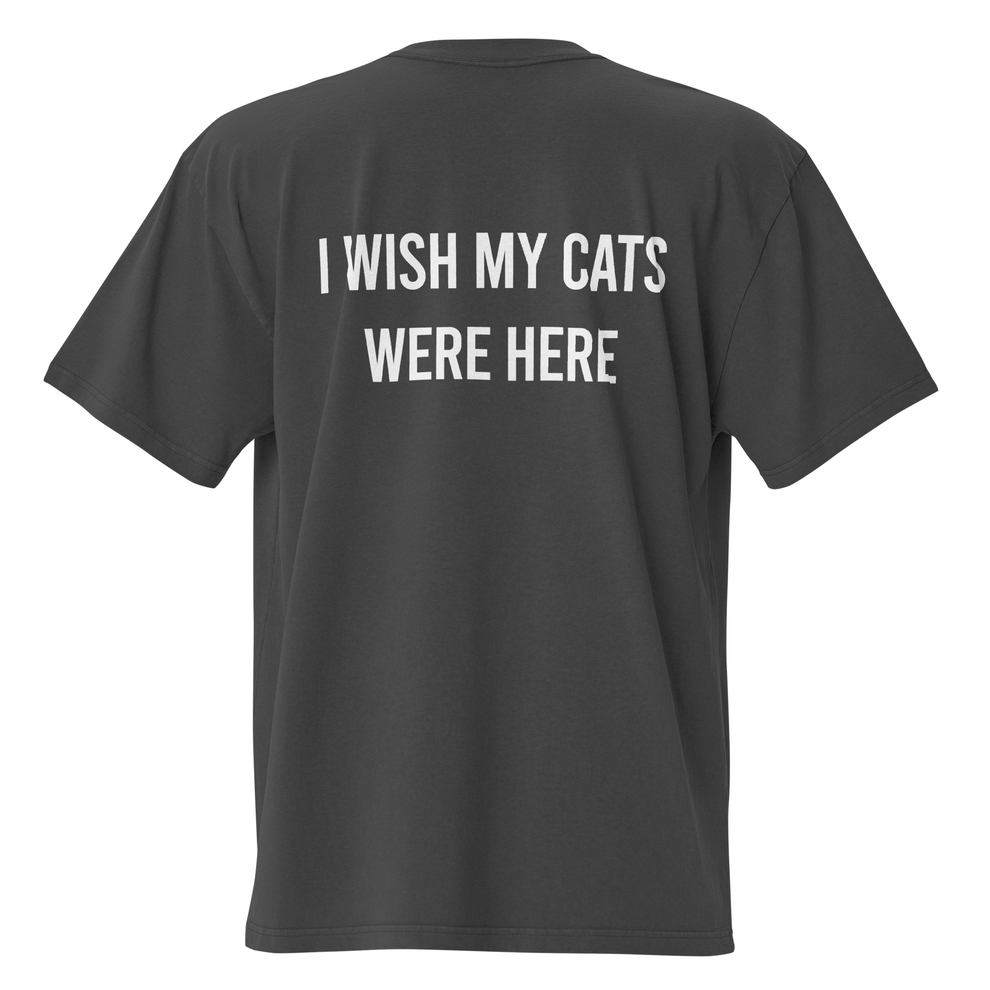 i wish my cats were here